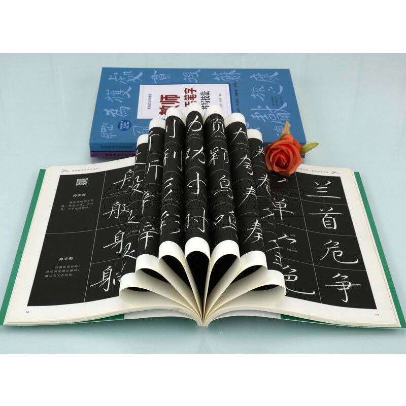 【视频讲解】教师书法教师粉笔字硬笔字毛笔字书写技法3册老师板书楷体字书写技巧教师基本功训练教程书法写教资培训教材书籍