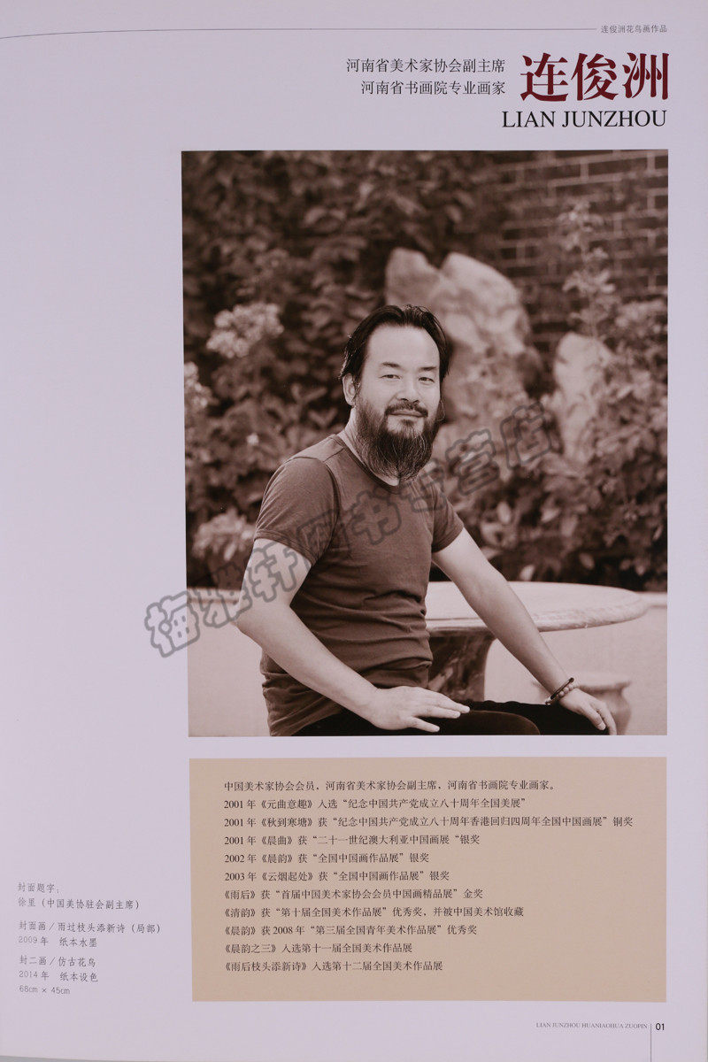 正版 美术视野花鸟画部分(共4册)中国各省市自治区美协主席副主席作品精选梁时民荆桂秋连俊洲庄毓聪花鸟画作品北京工艺美术图书
