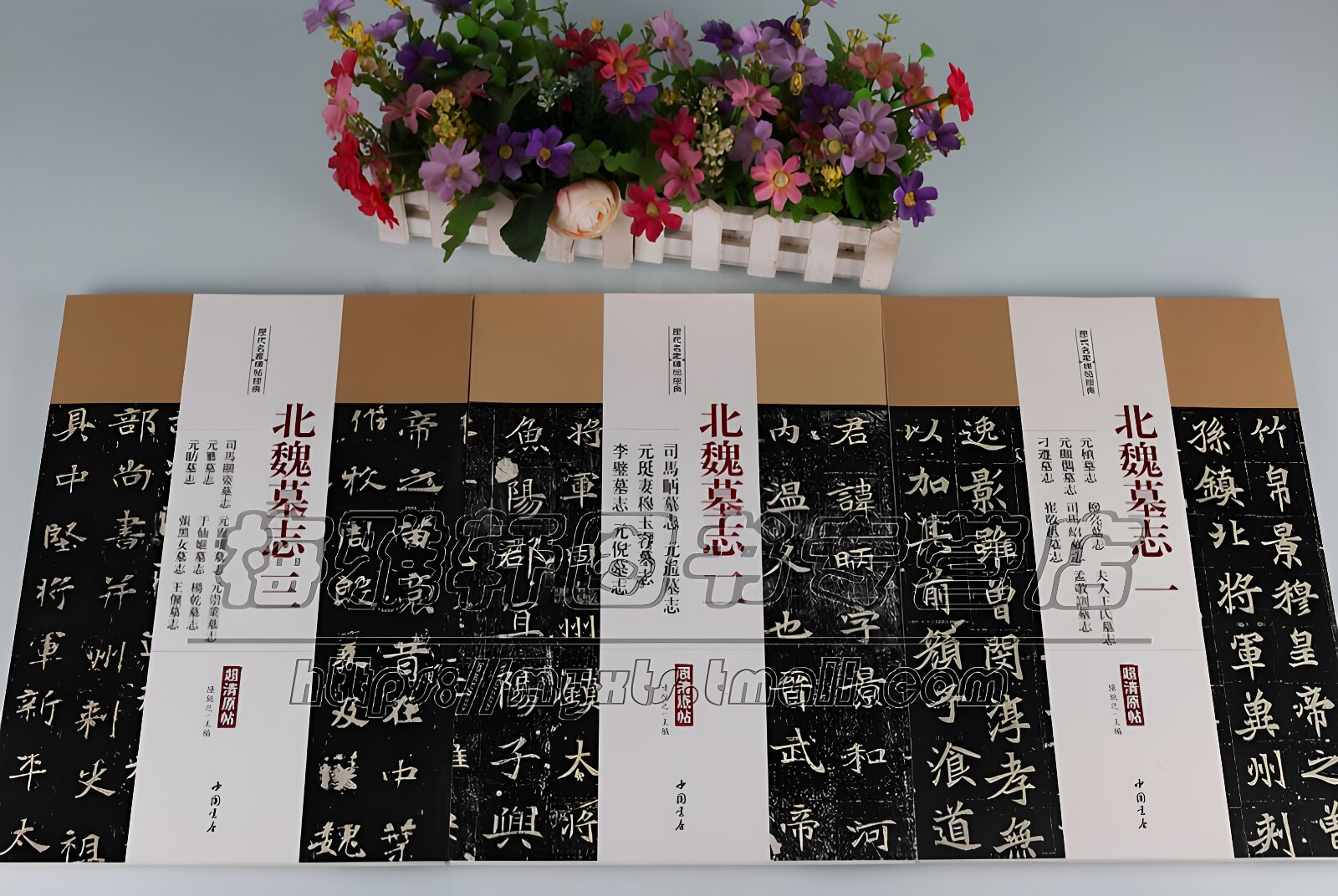 历代名家碑帖经典北魏墓志字帖全集3册魏碑体元桢穆亮元遥司马显姿墓志铭魏碑体书法毛笔集字古代中国书法名品精选精粹临摹习 书籍