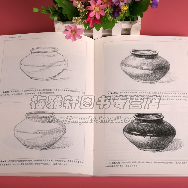 素描基础入门静物篇 王芳著水果蔬菜器皿衣着衬布等零基础绘制技法研究知识学习临摹图书大众阅读经典著作畅销书籍 人民美术出版