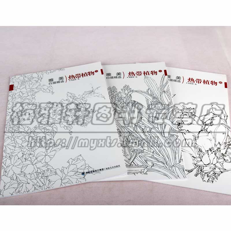 白描热带植物精选 3册 白描花卉植物工笔画书籍入门素材线描白描写生临摹画册基础画法入门步骤如何怎样花鸟画工笔白描画的书籍