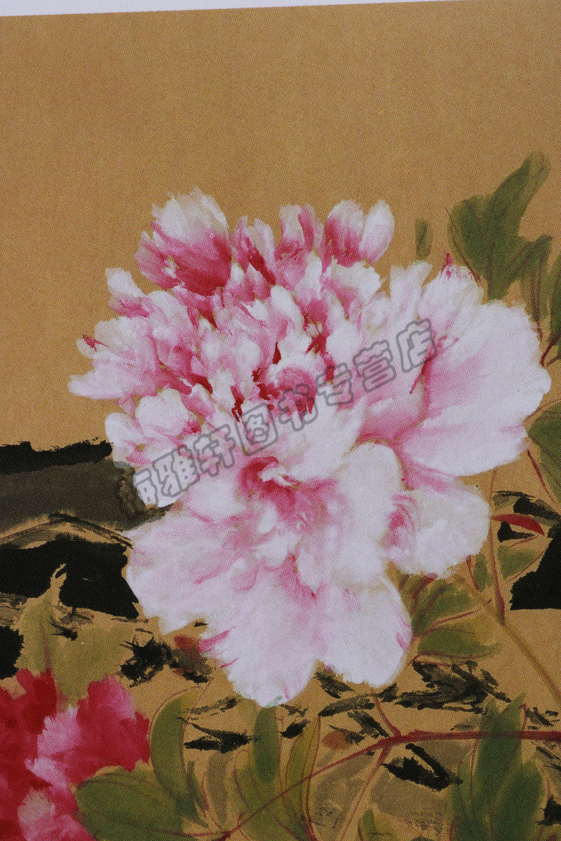 正版 美术视野花鸟画部分(共4册)中国各省市自治区美协主席副主席作品精选梁时民荆桂秋连俊洲庄毓聪花鸟画作品北京工艺美术图书
