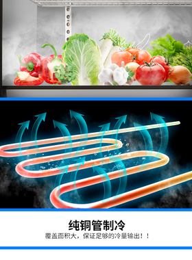 中雪冷冻双温厨房柜立式四门冰箱