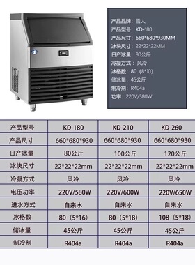 雪人商用制冰机雪花冰机方块冰贾