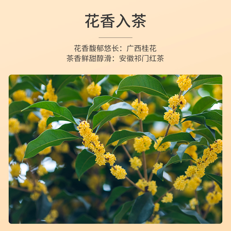 祥源茶祁门红茶官方旗舰店金桂祁红广西桂花茶祁红香螺100g*2罐 - 图0