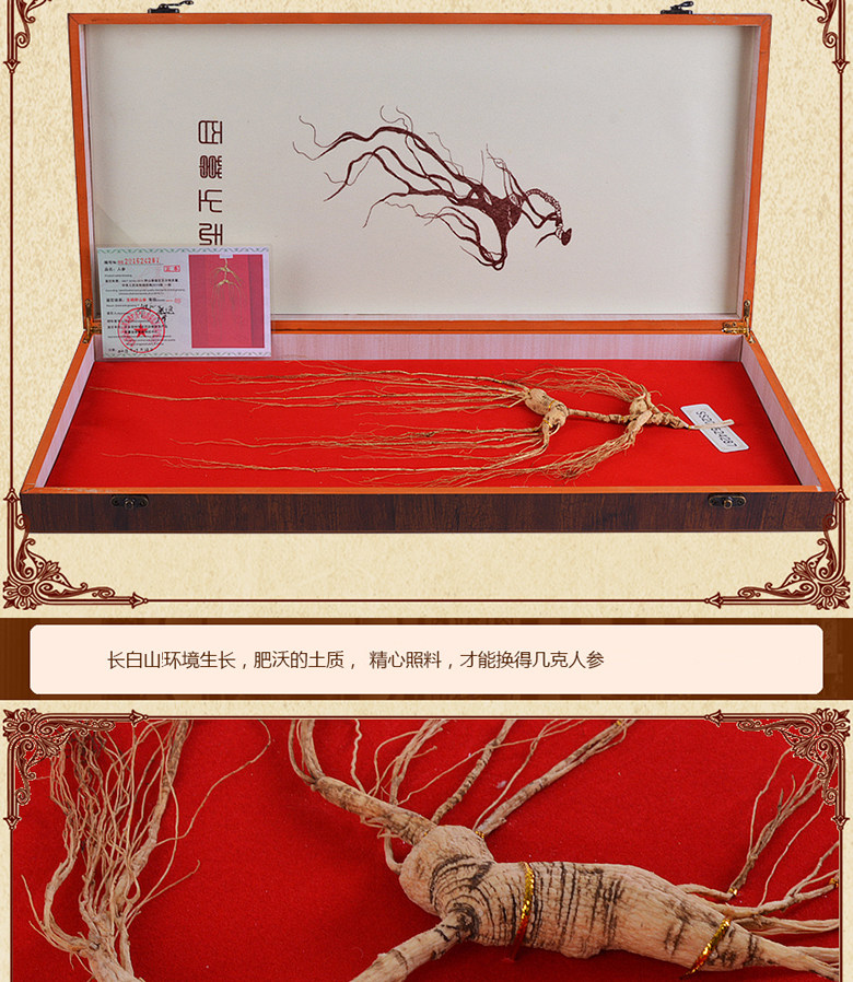  一庆堂山参