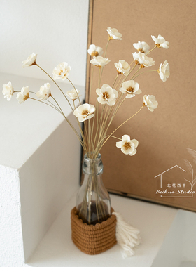 软装奶油风手工植物花线条感雏菊