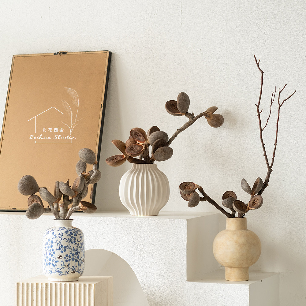 澳洲进口板球荣桦轻奢花材软装陈设家居个性插花真花哈克木干树枝 - 图3