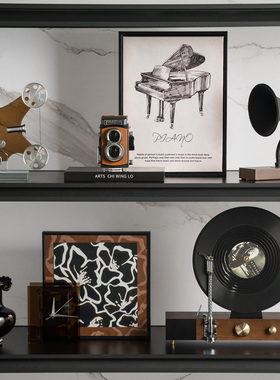 轻奢高级感唱片机音乐风组合摆件客厅电视柜办公室开放格软装饰品