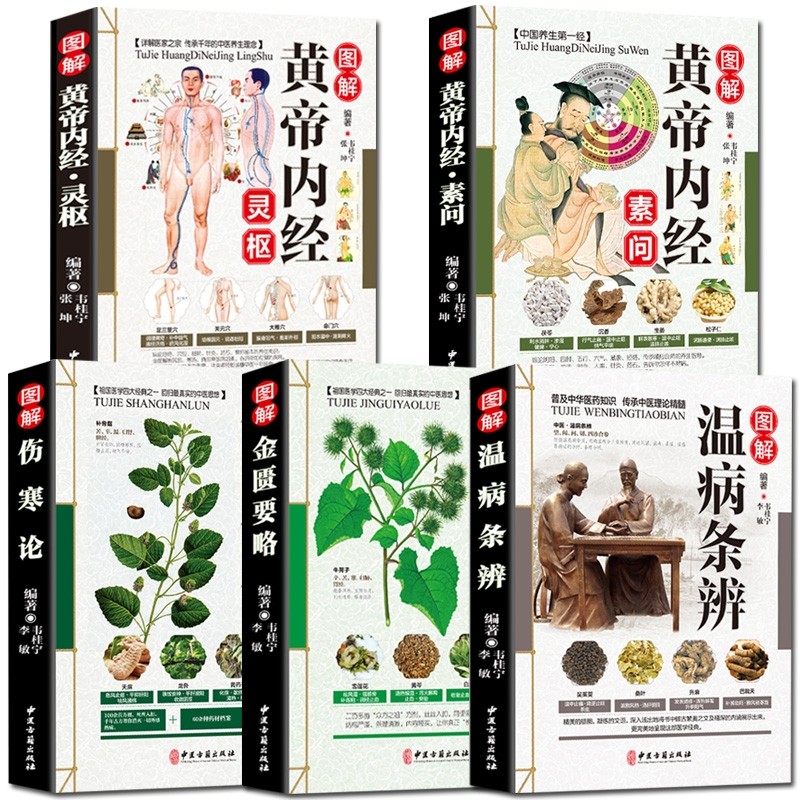 图解版全5册!中医四大名著全套原著正版白话版中医书籍大全全集皇帝黄帝内经素问灵柩温病条辨伤寒论金匮要略张仲景_虎窝淘