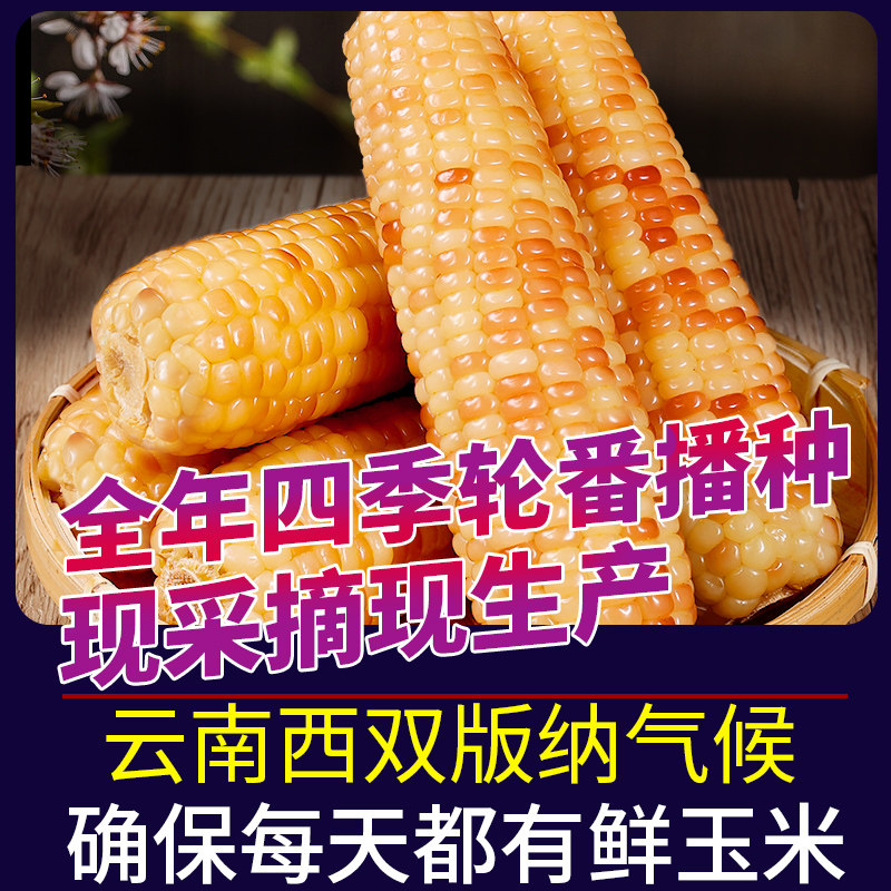 10斤云南西双版纳香糯小玉米新鲜真空包装开袋即食早餐代餐玉米棒,淘宝优惠券,粉丝福利购,淘宝优惠卷