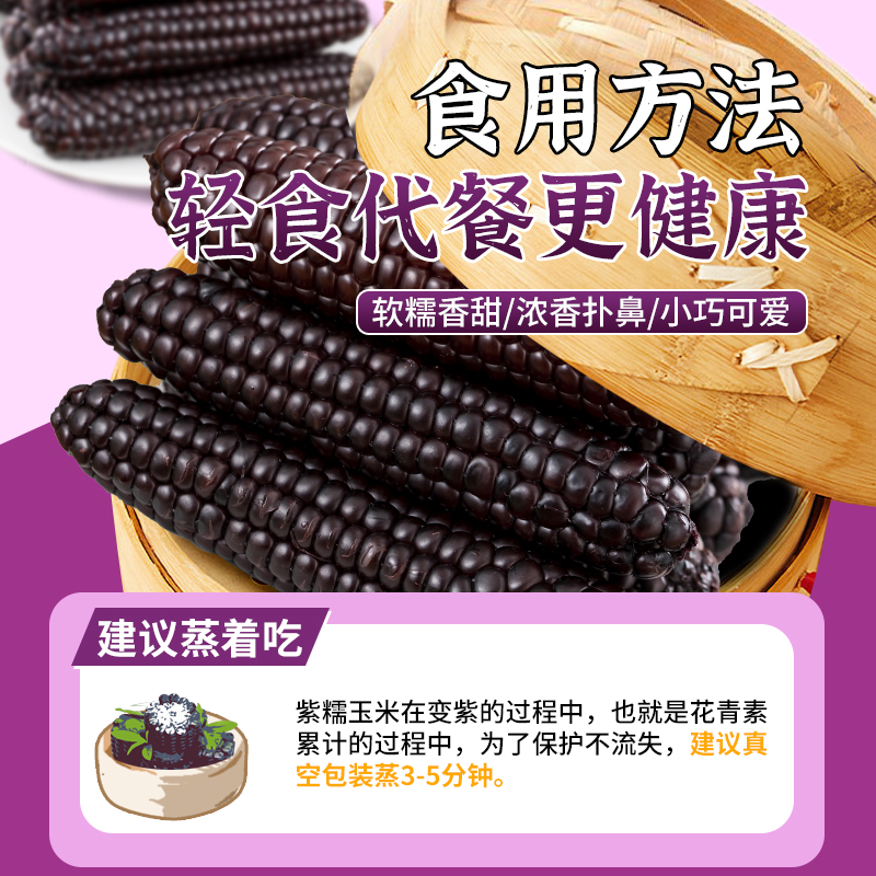 5斤 西双版纳紫香糯拇指小玉米云南特产新鲜甜糯儿童拇指玉米早餐