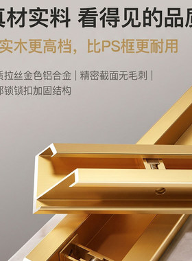 手工装裱亚克力丝巾画支持来图定制服装店挂画客厅餐厅玄关轻奢画