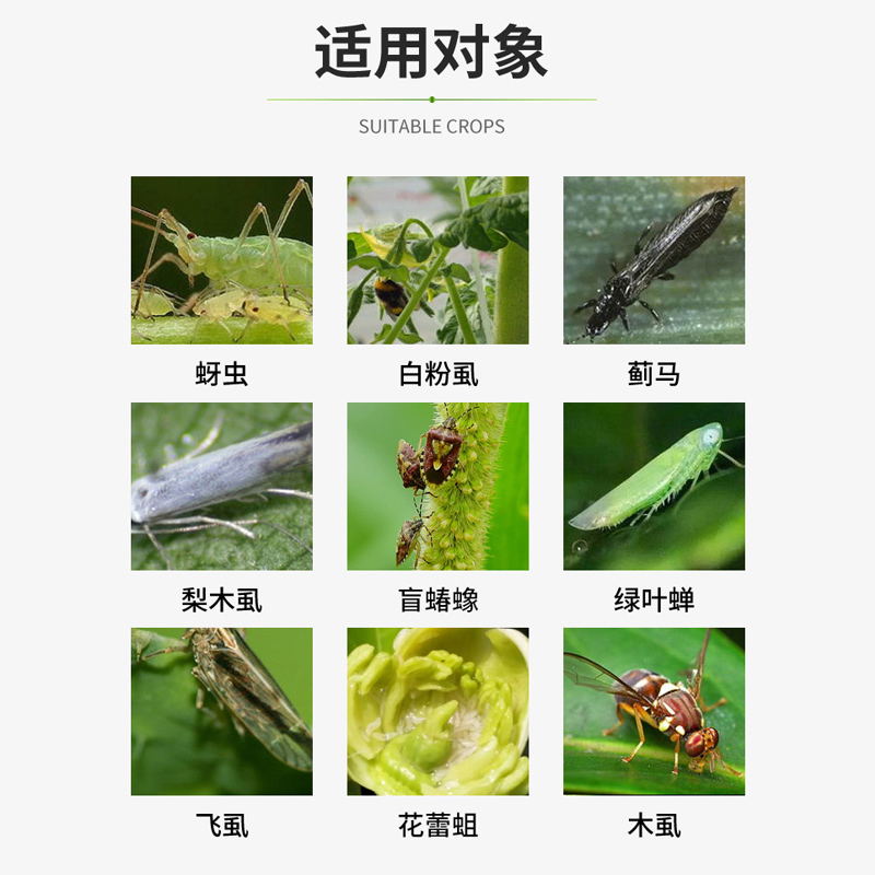 噻虫嗪高氯氟蚜虫飞虱青虫蓟马茶小绿叶蝉地下害虫果树农药杀虫剂 - 图2