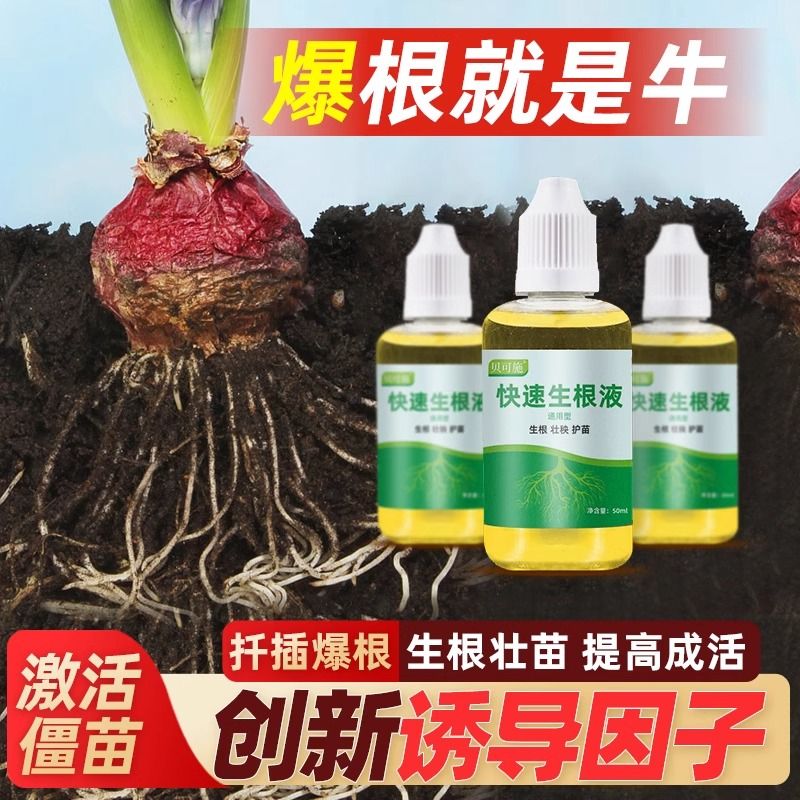 植物快速生根液壮苗剂扦插育苗水培移栽通用营养液生根壮秧护苗 - 图0