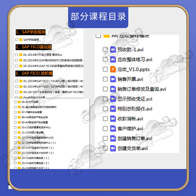 SAP FICO财务模块零基础进高阶项目实战培训视频教学课程成本 - 图0