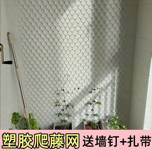 蔷薇月季爬藤用塑胶网植物爬墙网格藤曼墙面牵引网园艺爬藤网支架 - 图0