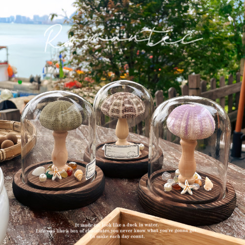 成品海螺小夜灯生日教师节礼物贝壳海胆灯diy手工材料包活动沙龙 - 图3