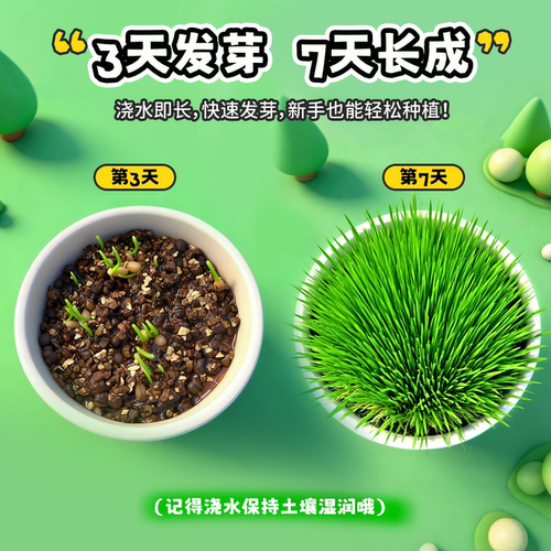 鹦鹉麦芽草粮大麦种子鹦鹉啃咬饲料鸟草盒零食促进消化解闷啄毛 - 图1