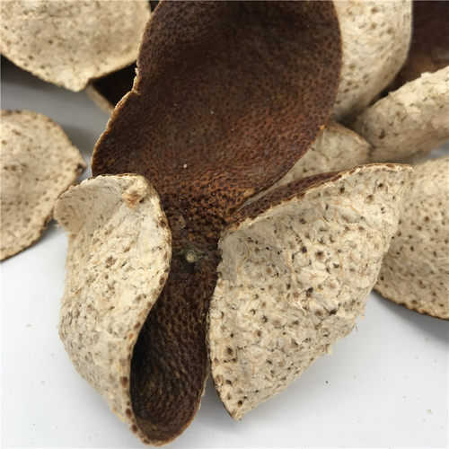 直播间用新会陈皮二红皮柑普茶小青柑小柑胎云南普洱茶熟茶订金用 - 图2