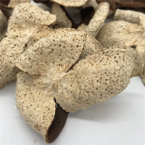 直播间用新会陈皮二红皮柑普茶小青柑小柑胎云南普洱茶熟茶订金用 - 图3