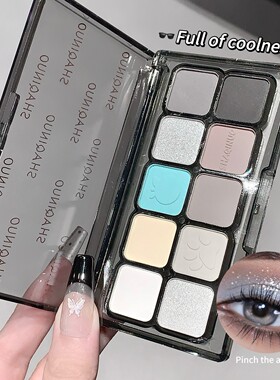 跨境专供爆款SHAQINUO粉雾白日梦十色眼影盘 细闪提亮eyeshadow