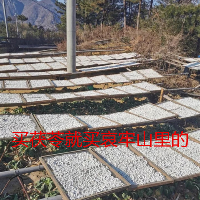 茯苓中药材正品云南哀牢山野生无硫茯苓丁茯苓块粉500克两件包邮 - 图0