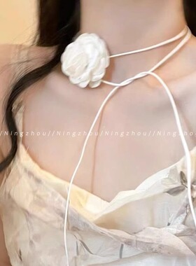 2025时尚玫瑰黑项链女款百搭颈带小香风配饰新款气质脖颈链子