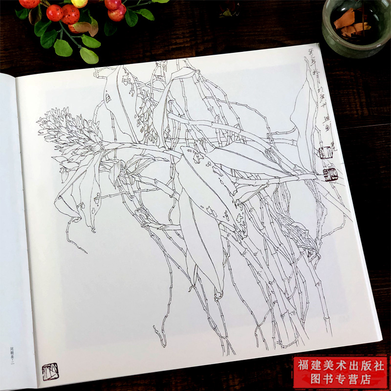 南国馨香唯美白描精选工笔画花卉技法白描底稿勾线稿毛笔画谱国画初学者临摹范本画册刘兴建绘画教程书籍中国现代花卉画作品集-图0