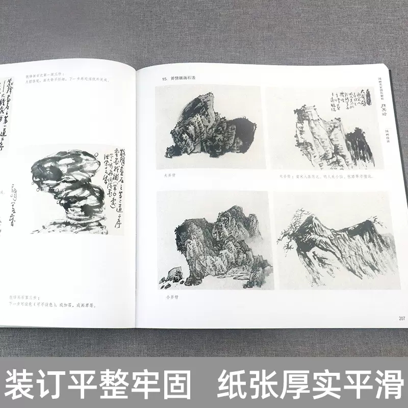 国画名家创作解析 孙其峰中国花鸟画技法国画临摹画册孙其峰画集孙其峰书画谱百鸟写意花鸟国画花鸟写意画工笔花鸟画法步骤解析书 - 图0