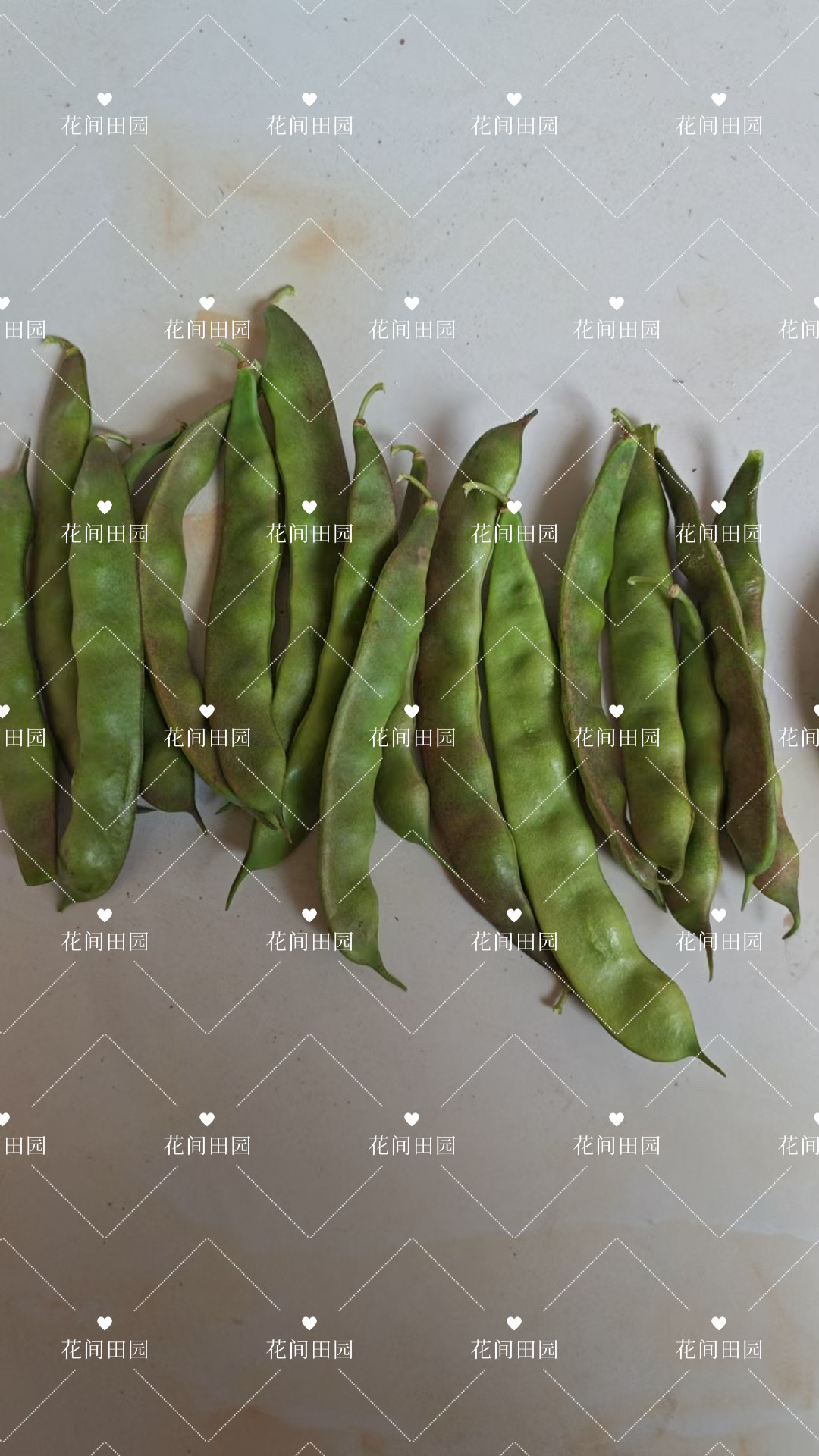 不搭架地紫花油豆角种子东北农家豆角籽矮生墩豆角种籽无筋早熟,淘宝优惠券,粉丝福利购,淘宝优惠卷