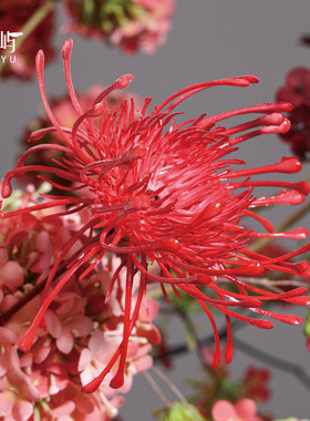 鲲屿红色系大型花酒店摆件