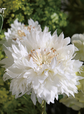 鲲屿 中式高端酒店大堂仿真花【青山依旧】房地产会所桌面摆件