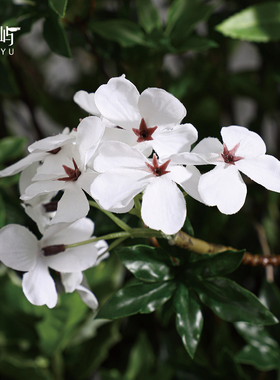 鲲屿 轻奢氛围装点金属花器【桑低绿枝】餐厅民宿样板间软装花艺