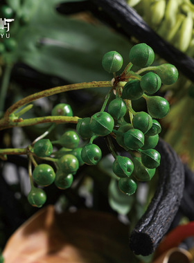 鲲屿新中式架构装置花艺装饰