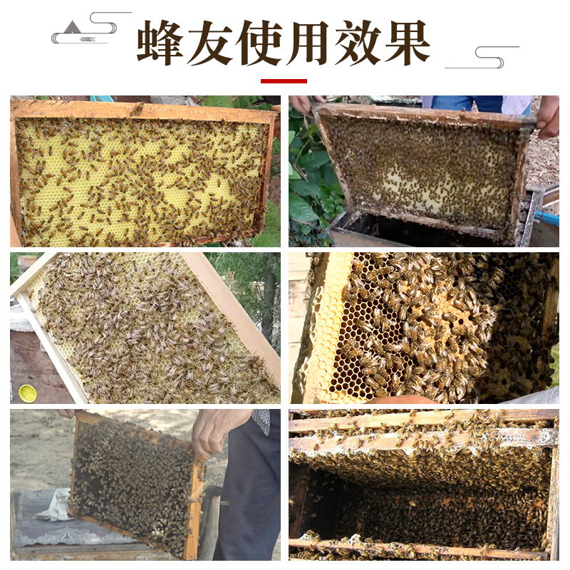 巢框中蜂巢础框成品带框蜂巢蜂蜡意蜂巢脾蜜蜂箱养蜂工具全套蜂具