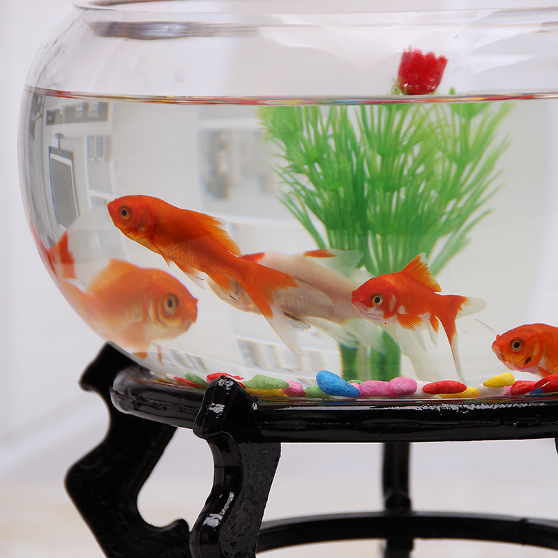玻璃鱼缸圆形小型创意客厅圆鱼缸家用桌面鱼缸加厚透明鱼缸乌龟缸