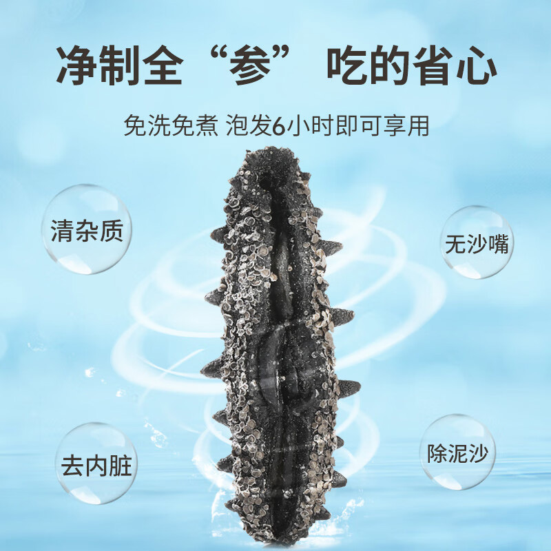 海晏堂超大海参礼盒 130g 32只 大连淡干干货 端午节送礼优选