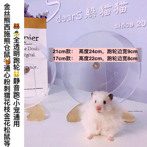仓鼠透明跑轮带支架金丝熊透明跑轮飞盘飞碟通心粉跑轮20-24CM - 图2