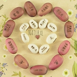 Семена аварийного магического боба бонсай четыре сезона сажают семена творческие маленькие популярные растения мини -растения