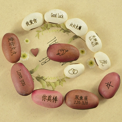 Семена аварийного магического боба бонсай четыре сезона сажают семена творческие маленькие популярные растения мини -растения