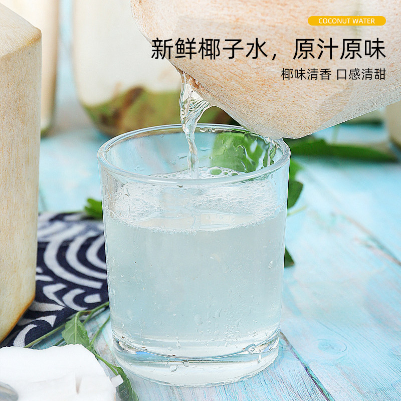 越王头生椰乳椰汁商用生椰椰萃冷冻生打椰子水咖啡奶茶店专用原料,淘宝优惠券,粉丝福利购,淘宝优惠卷