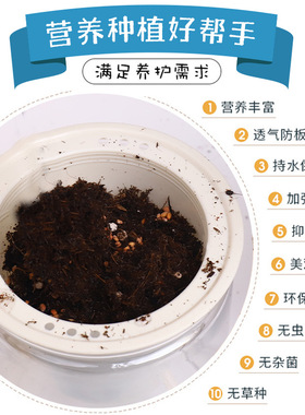 小花农自吸水系列农场盆栽植物观察发芽幼儿园儿童种植diy儿童