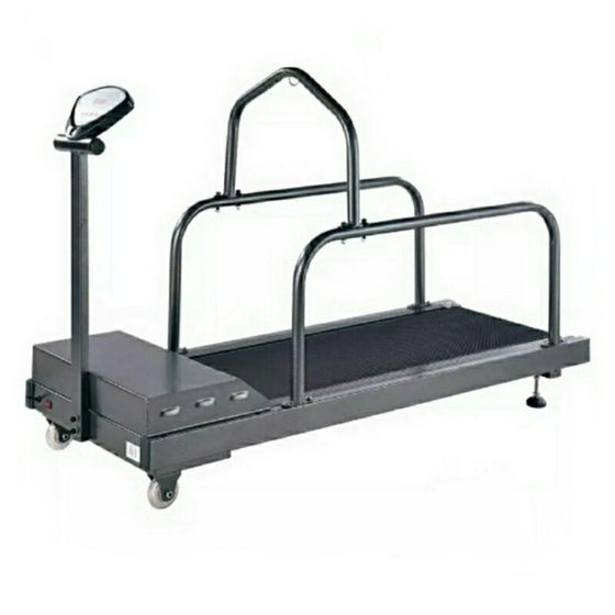 Home treadmill for pets Home treadmill for pets