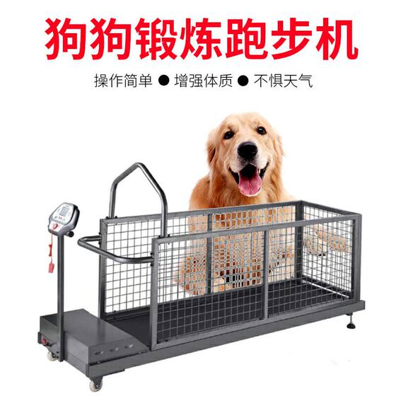 Home treadmill for pets Home treadmill for pets
