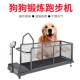 Home treadmill for pets Home treadmill for pets
