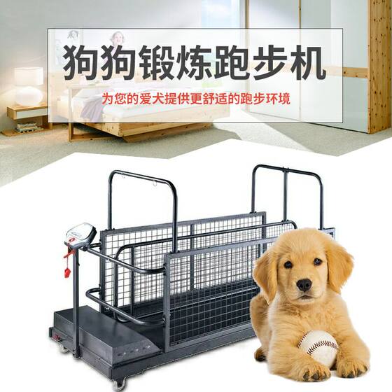 Home treadmill for pets Home treadmill for pets