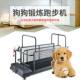 Home treadmill for pets Home treadmill for pets