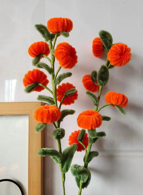 柿子扭扭棒手工材料花艺