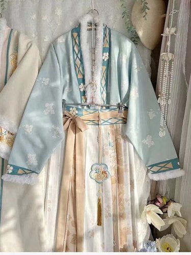 正版【云疏君主】汉服女装宋制长袄百褶裙交领飞机袖日常秋冬厚款 - 图3